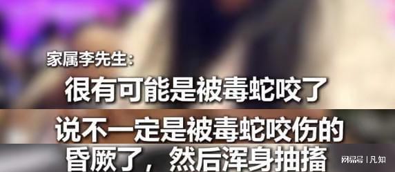 续：生活照曝光家属透露更多细节 通凯发k8登录27岁女孩被蛇咬身亡后(图17)